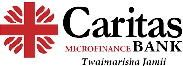 Logo for Caritas Micorfinance